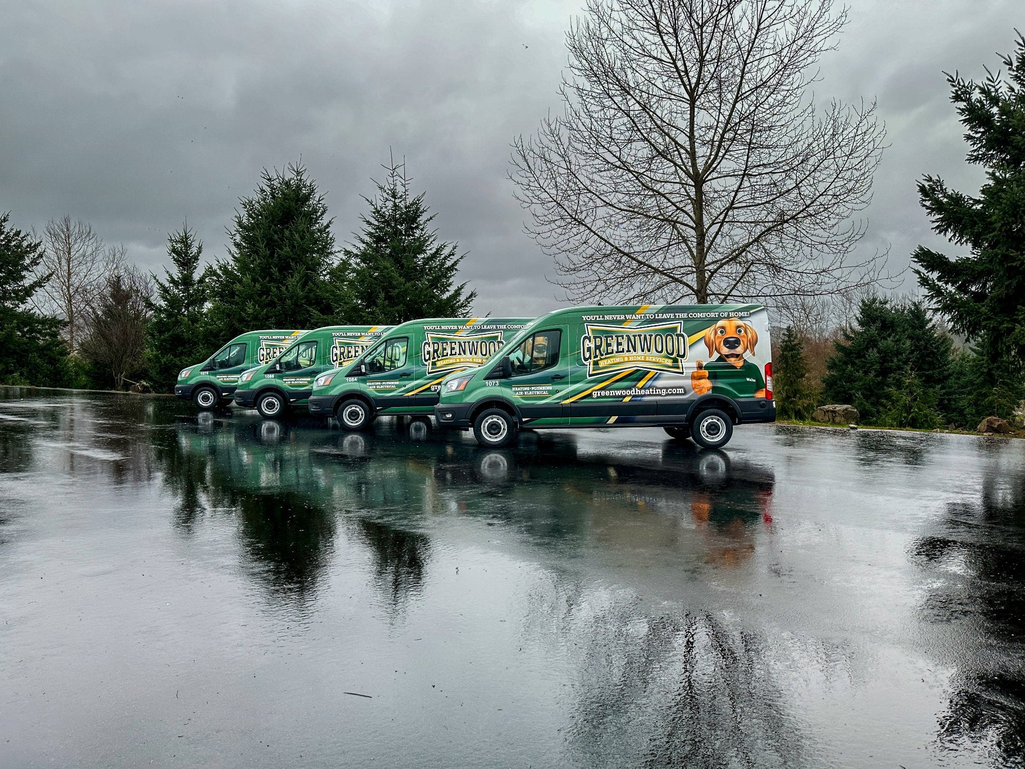 Four Greenwood Heating vans with matching green and yellow wraps featuring company branding and a dog mascot, parked on a wet road.