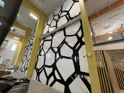 Custom black and red wall graphics in a sports training facility by Ardor Printing, view 2