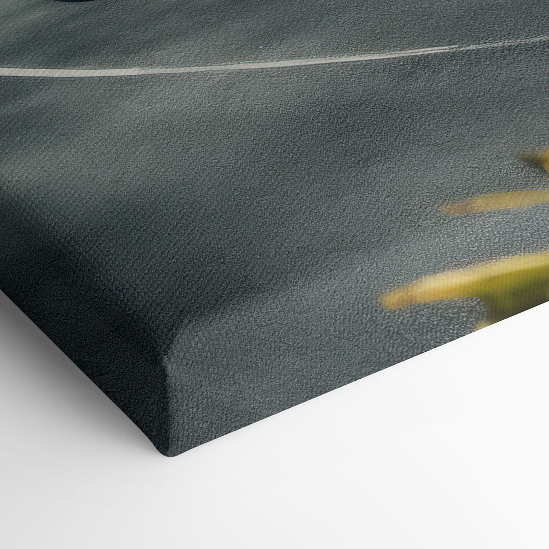 Elevated view of the corner of the canvas print featuring a sleek green Aston Martin on a Hawaiian coastal road.