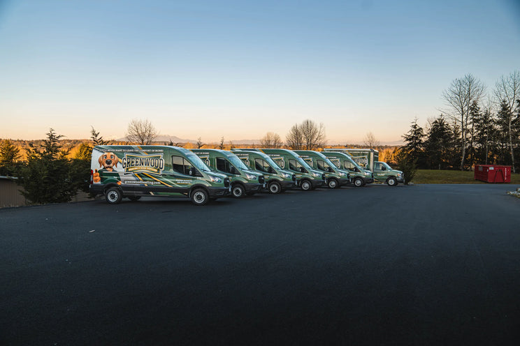 Fleet of Greenwood Heating Ford Transit vans with matching wraps lined up at sunset in Snohomish, WA